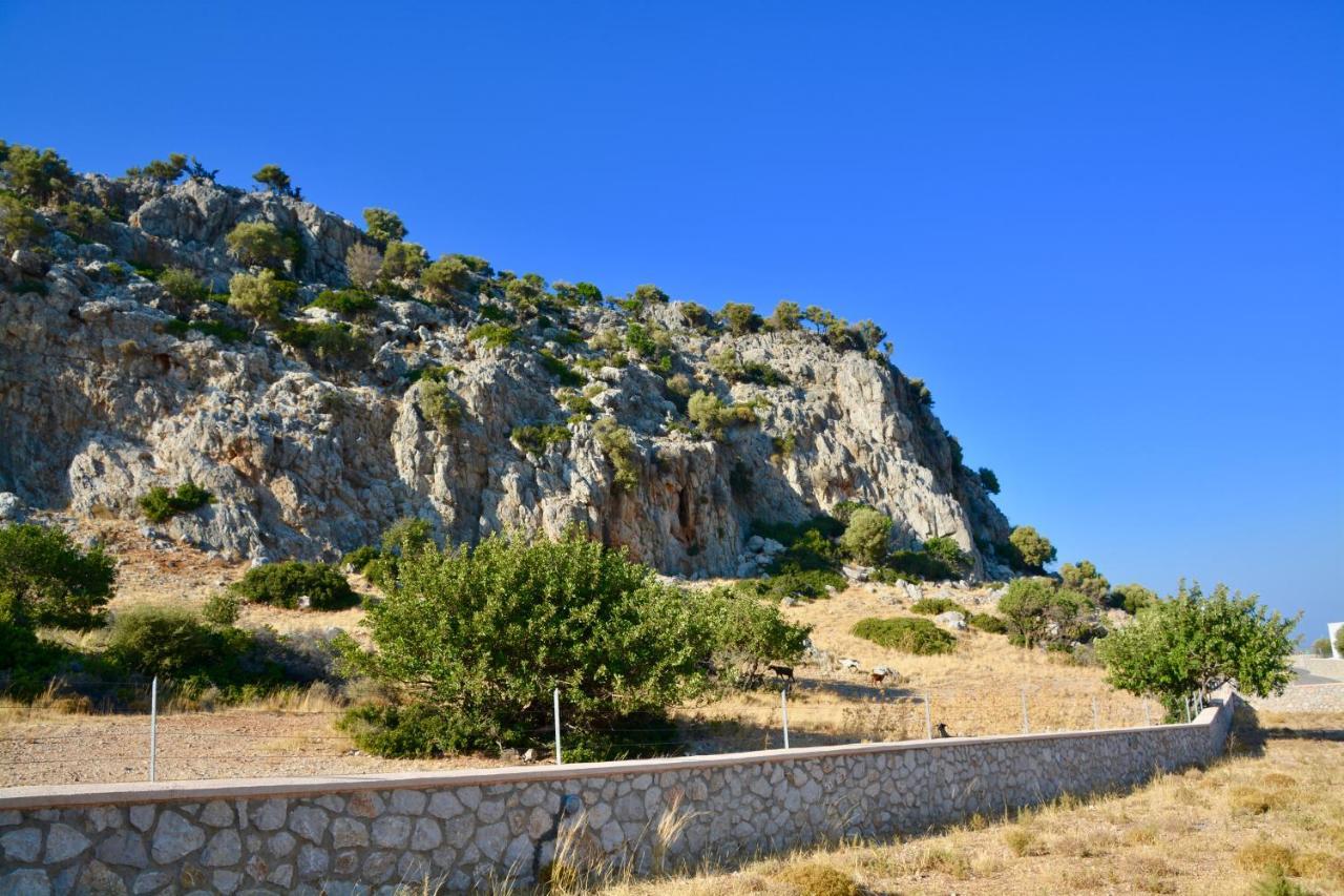 Kokinogremos
